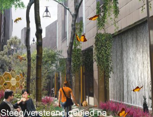 Hoos & Hitte Contest