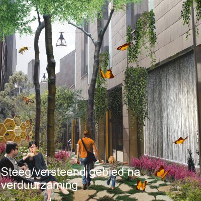 Steeg/versteend gebied na verduurzaming Steeg/versteend gebied na verduurzaming